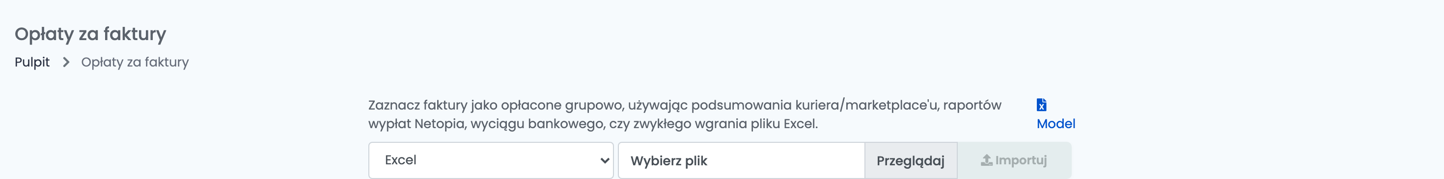 Strona Opłaty za faktury z wybranym formatem Excel, linkiem Model, polem Wybierz plik i przyciskiem Importuj.